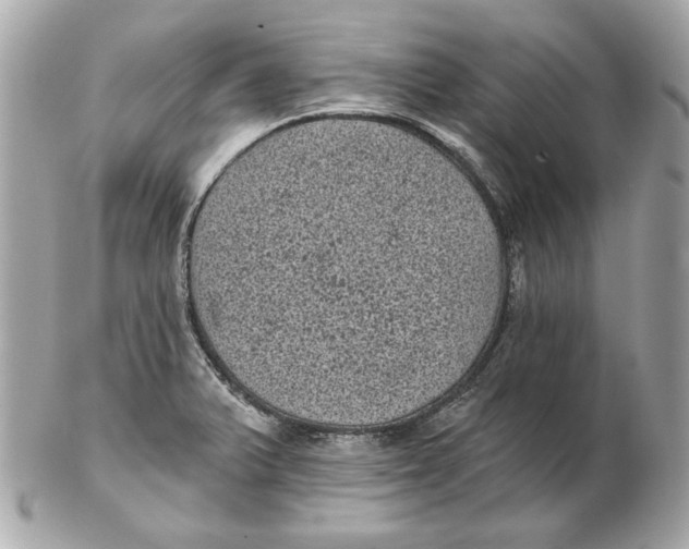 X0000102461375200808291533