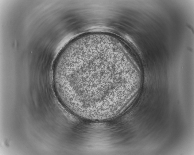 X0000102461376200808291533