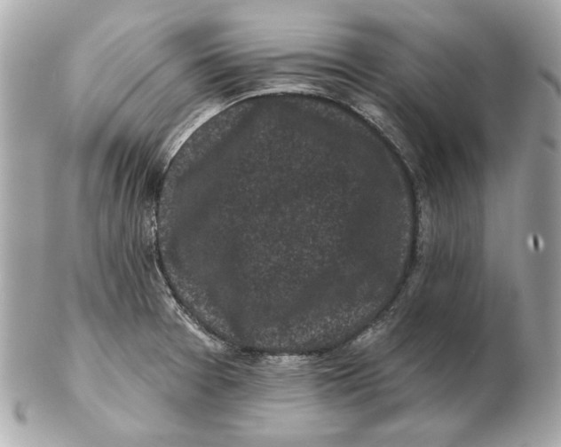 X0000102461377200808291533