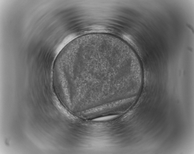 X0000102461378200808291533