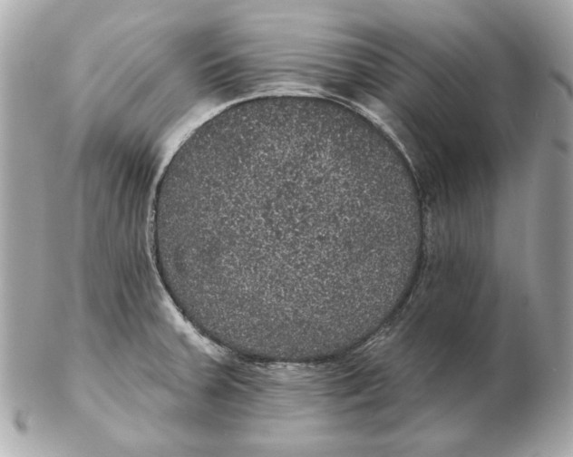 X0000102461379200808291533