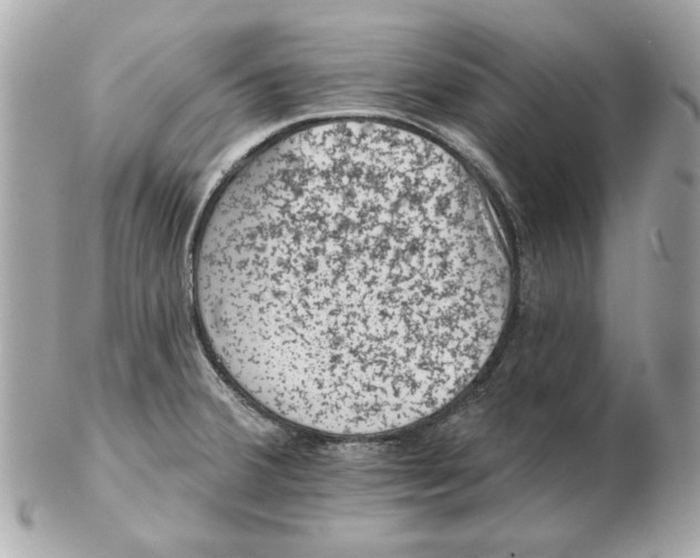 X0000102461380200808291533