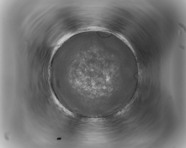 X0000102461381200808291533