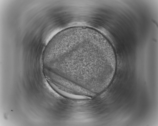 X0000102461382200808291533