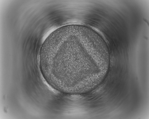 X0000102461383200808291533