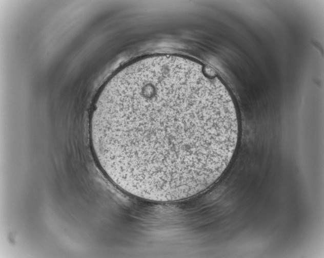 X0000102461384200808291533