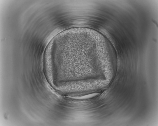 X0000102461386200808291533