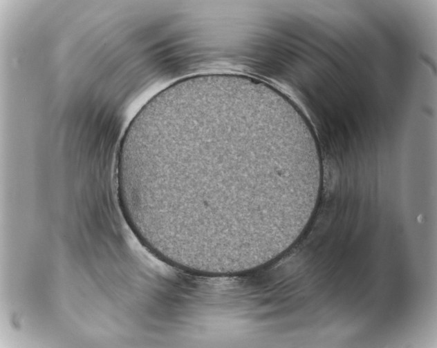 X0000102461387200808291533