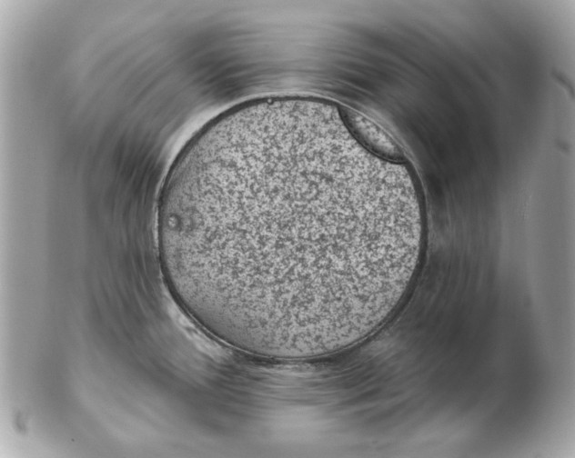 X0000102461388200808291533