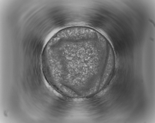 X0000102461389200808291533