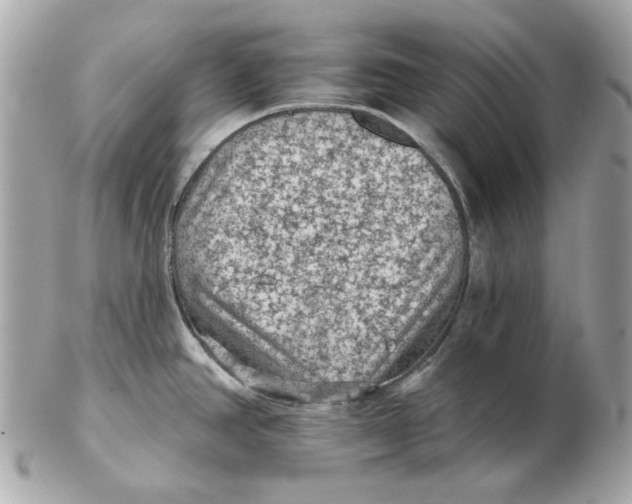 X0000102461390200808291533