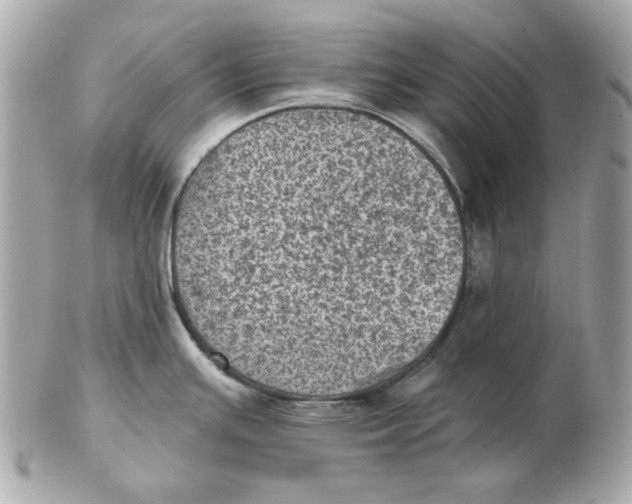 X0000102461391200808291533