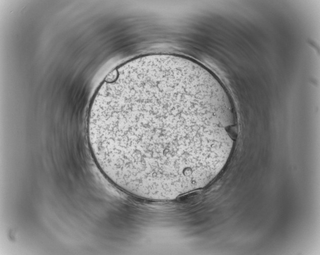 X0000102461392200808291533