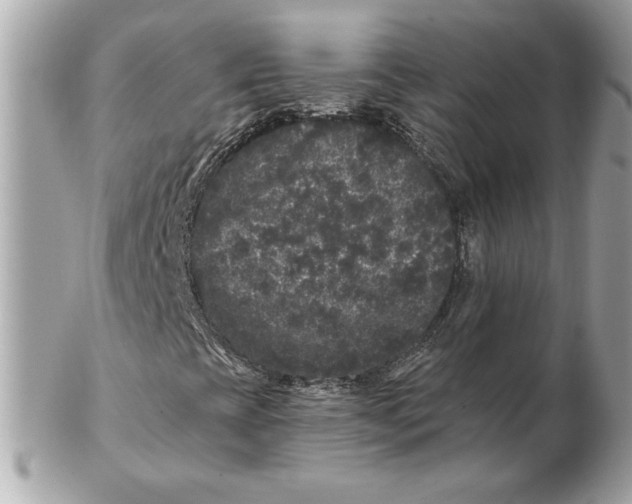 X0000102461393200808291532