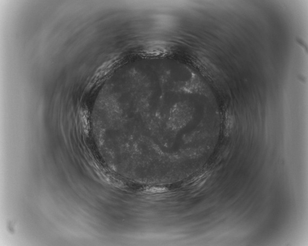 X0000102461394200808291532