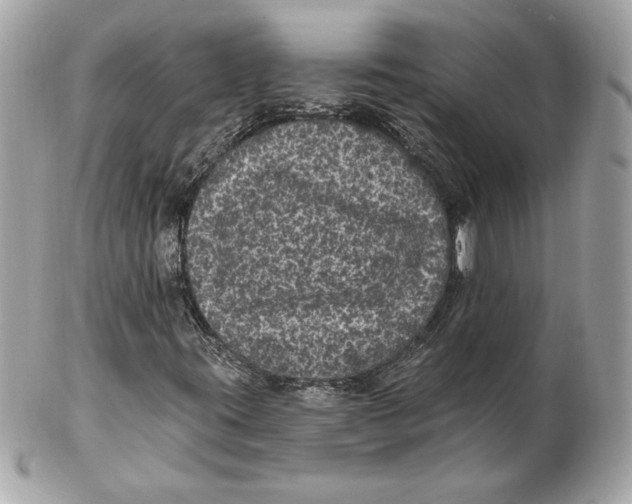 X0000102461395200808291532