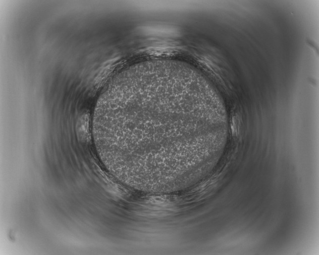 X0000102461396200808291532