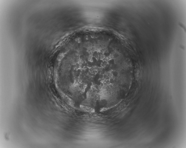 X0000102461397200808291532