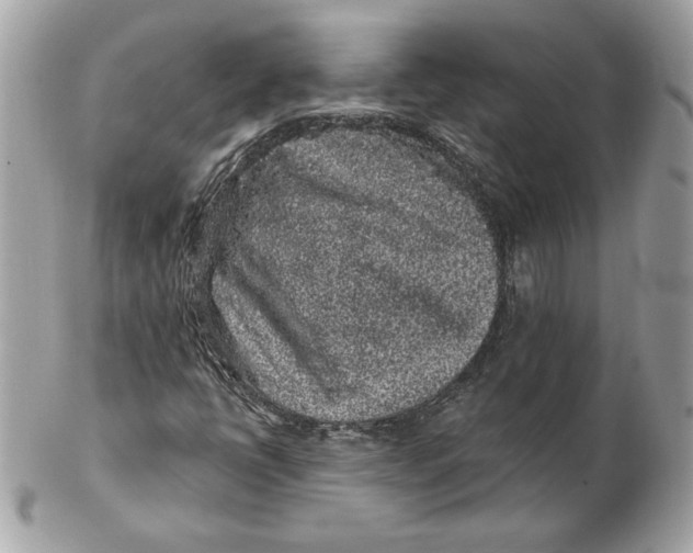 X0000102461398200808291532