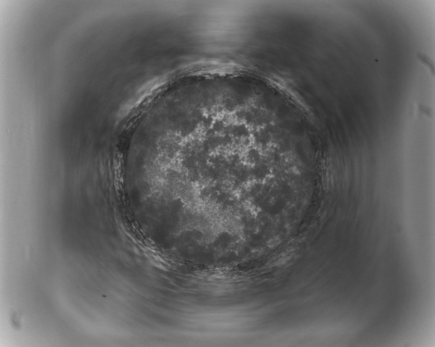 X0000102461399200808291532