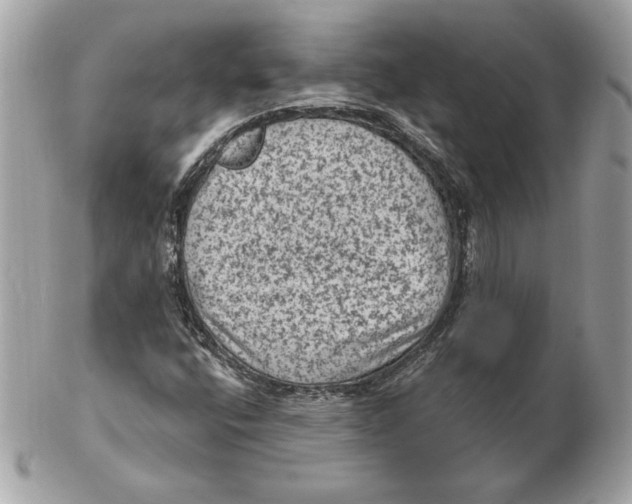 X0000102461400200808291532