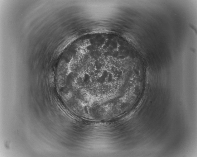 X0000102461401200808291532