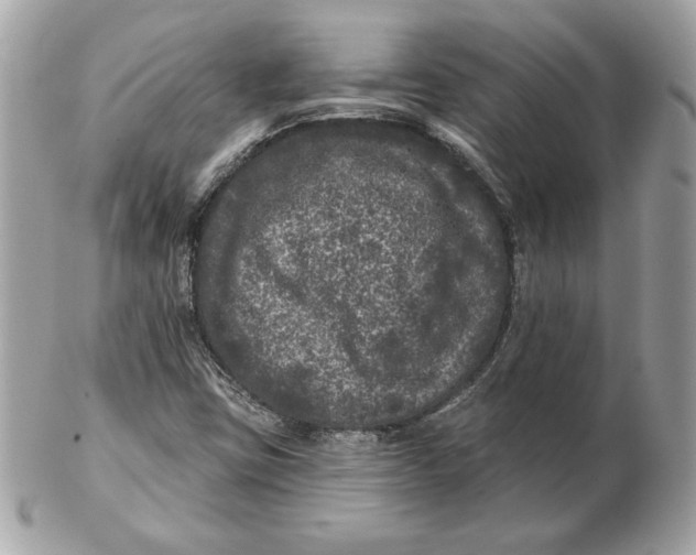 X0000102461403200808291532