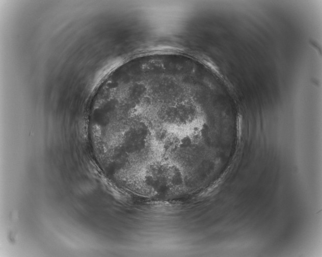 X0000102461405200808291532