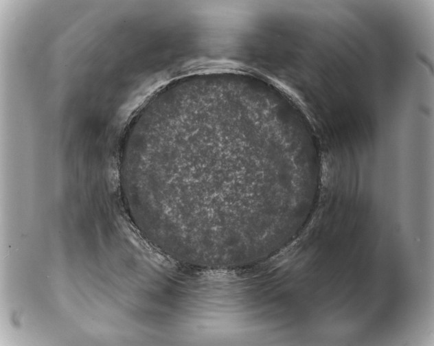 X0000102461407200808291532