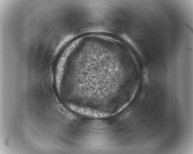 X0000102461408200808291532