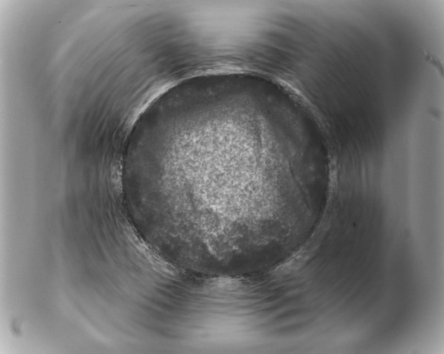 X0000102461409200808291532