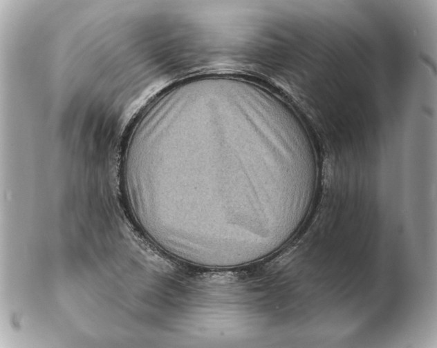 X0000102461410200808291532