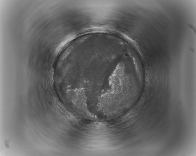 X0000102461411200808291532