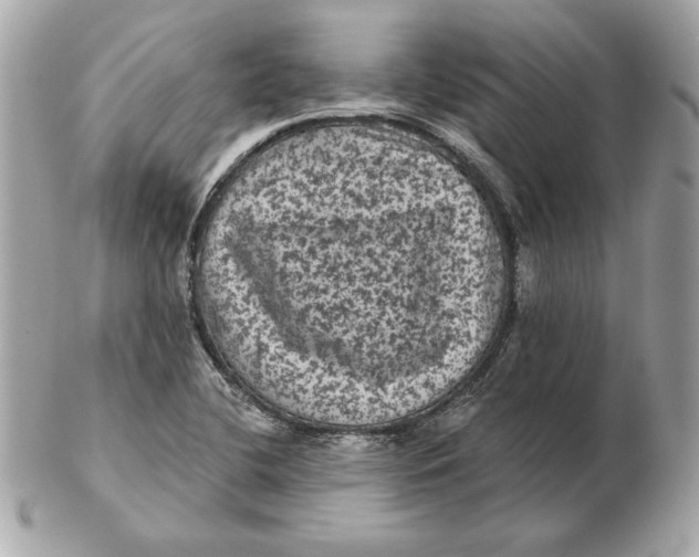 X0000102461412200808291532