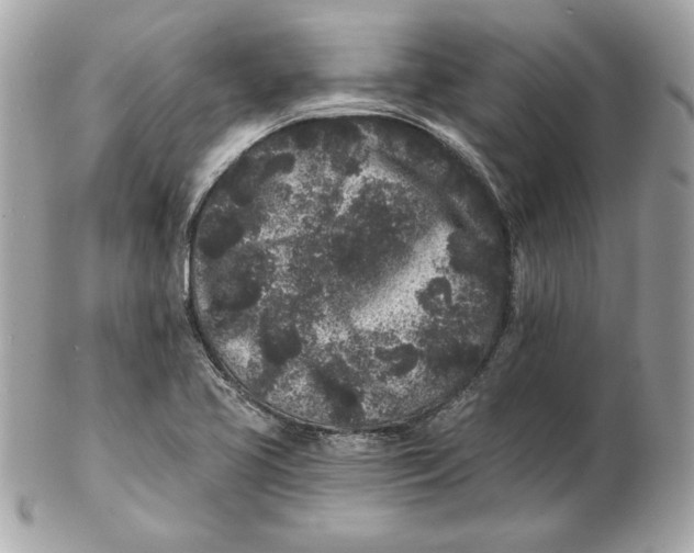 X0000102461413200808291532