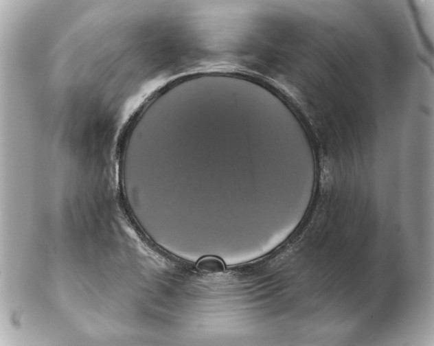 X0000102461414200808291532