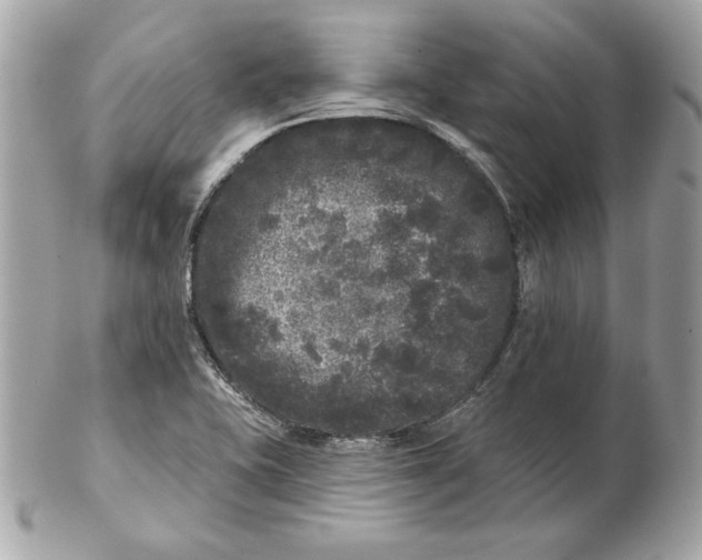 X0000102461415200808291532