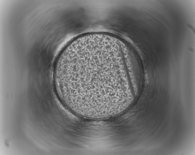 X0000102461416200808291532