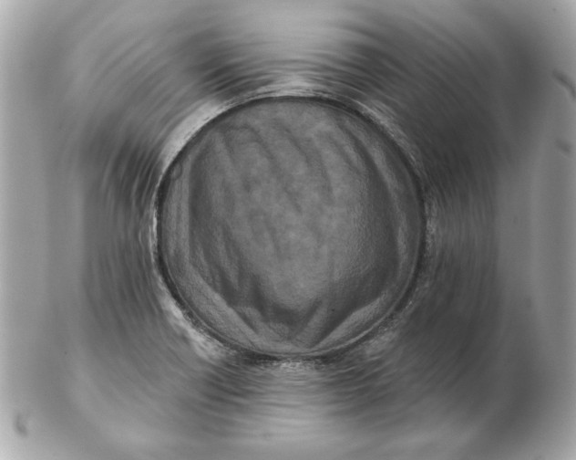 X0000102461418200808291532