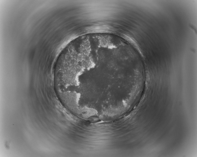 X0000102461419200808291532