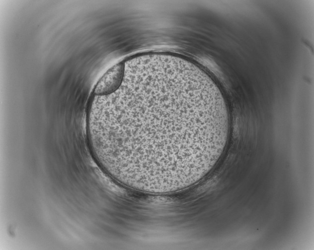 X0000102461420200808291532