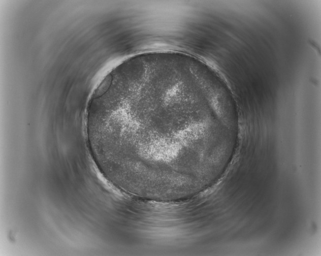 X0000102461421200808291532