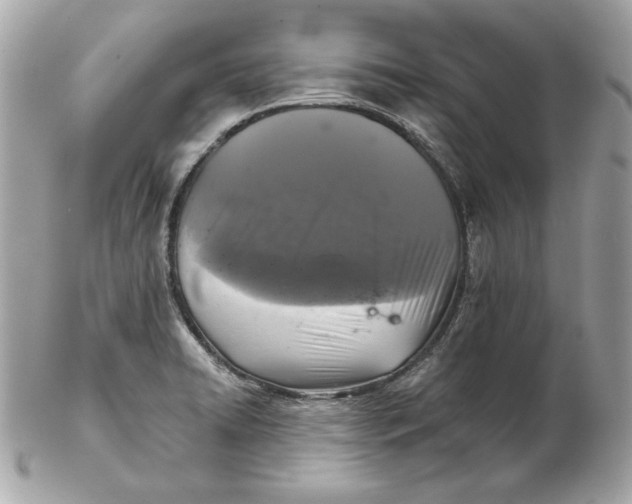 X0000102461422200808291532