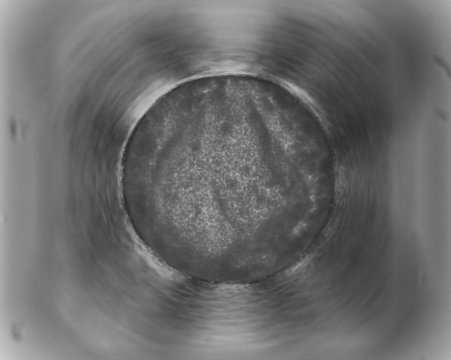 X0000102461423200808291532