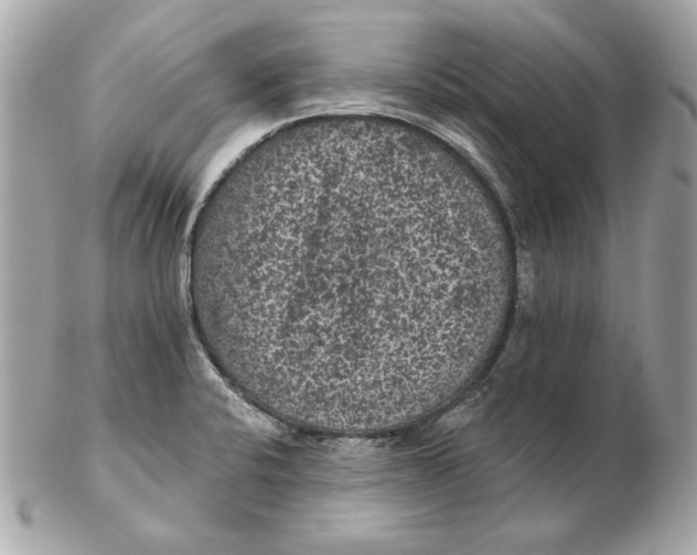 X0000102461424200808291532