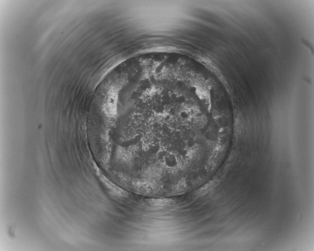 X0000102461425200808291532