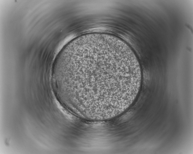 X0000102461426200808291532