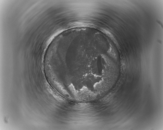 X0000102461427200808291532