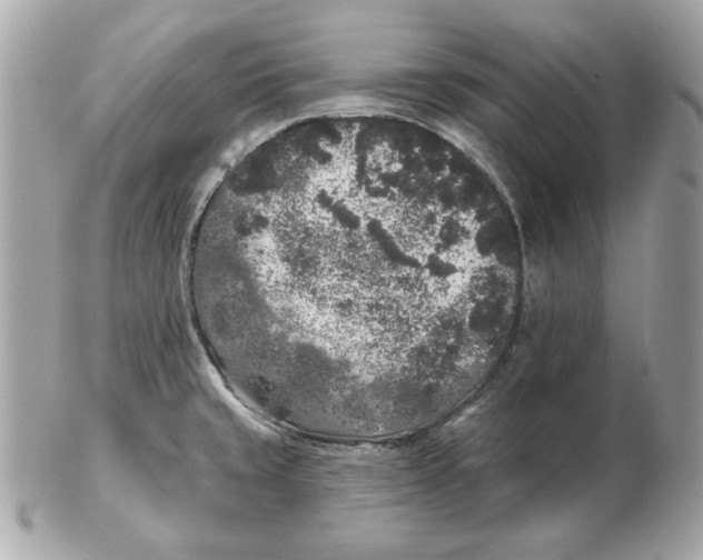 X0000102461429200808291532