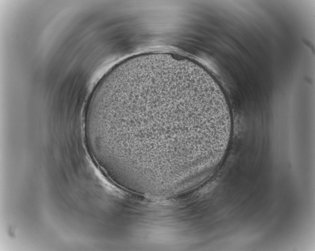 X0000102461430200808291532